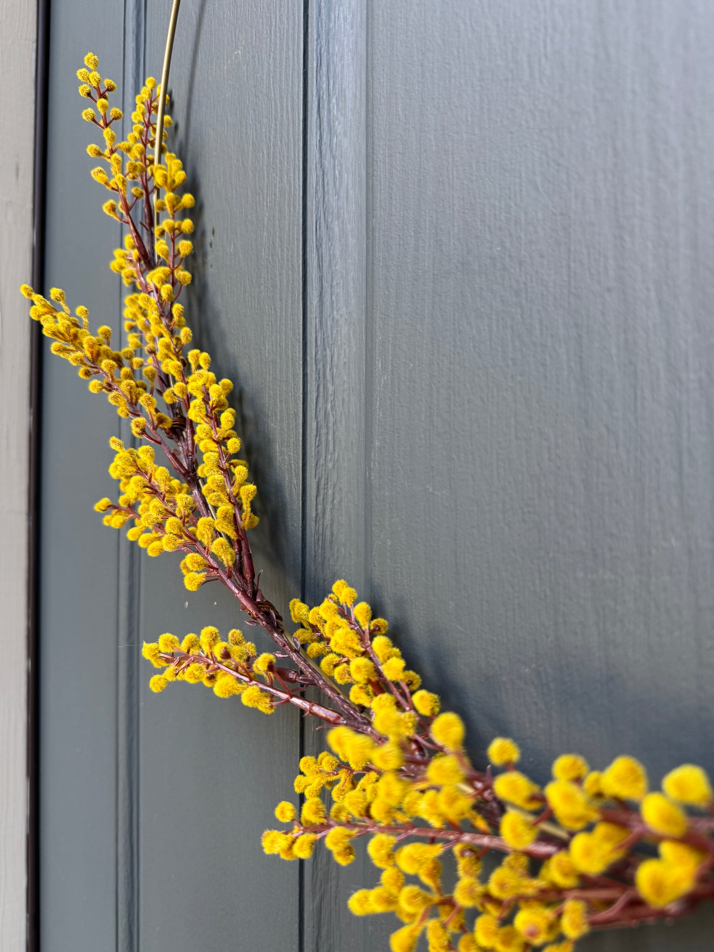 Modern Fall Golden-Yellow Mimosa Hoop Wreath