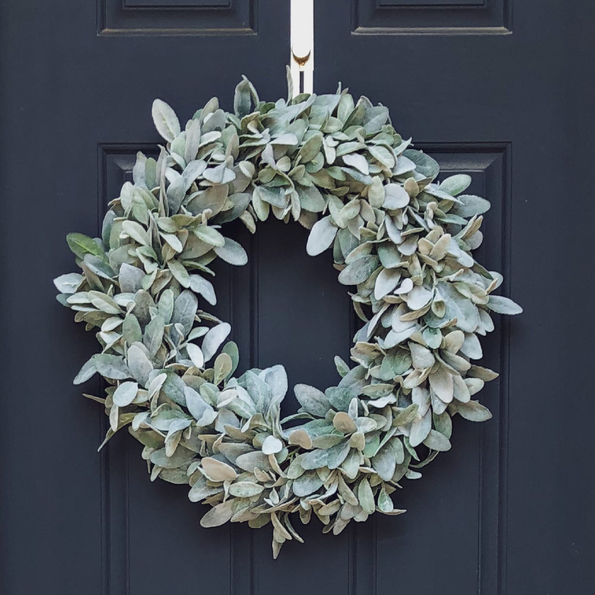 24" flocked lambs ear greenery wreath. Wreath is hanging from a gold wreath hanger on a dark blue front door.